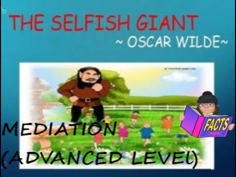 AN EXAMPLE OF WRITTEN MEDIATION (ADVANCED LEVEL)