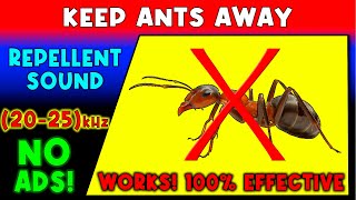 Download lagu ANTI ANTS REPELLENT SOUND ⛔🐜 KEEP ANTS AWAY - ULTRASONIC SOUND mp3 Download lagu ANTI ANTS REPELLENT SOUND ⛔🐜 KEEP ANTS AWAY - ULTRASONIC SOUND mp3
