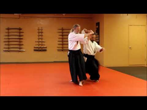 Birankai Aikido & Iaido: Iai Batto Ho Kata Introduced by Chiba Sensei Demonstrated by Thoms Sensei