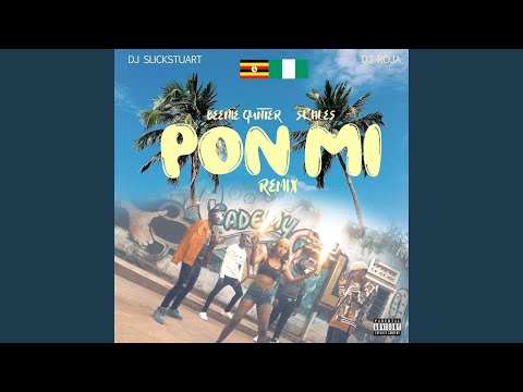 Pon Mi Remix