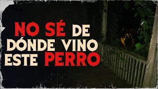 Encontré un PERRO en mi PATIO… con una CÁMARA en el COLLAR | Creepypasta | Reddit Terror Español