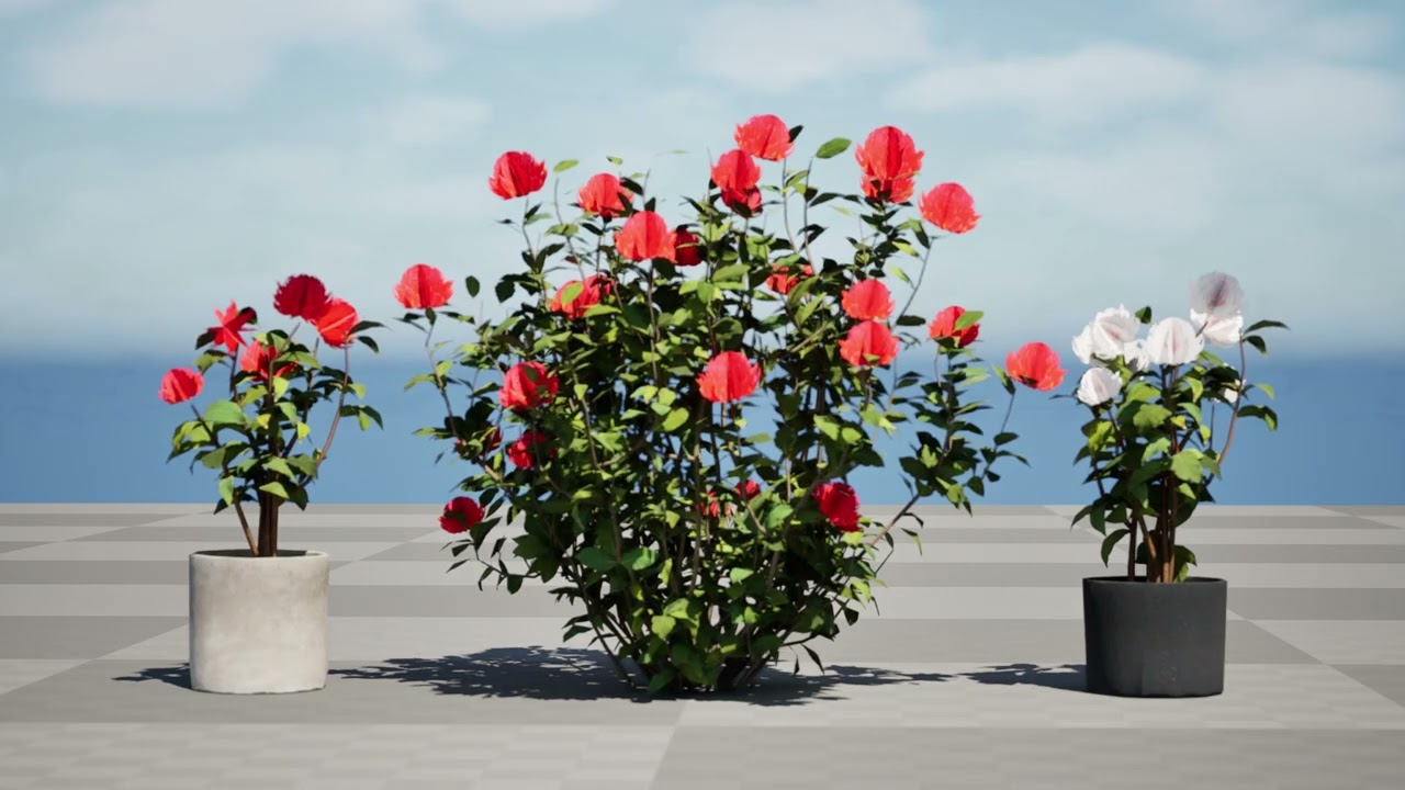 Australian Waratah Flowering Plant 3D Model