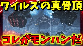 モンハンワイルズのオメガがすごい面白い！！