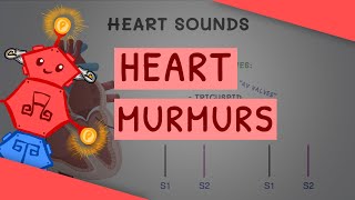 Cardiology for Beginners: Basics of Heart Sounds and Murmurs (with examples)