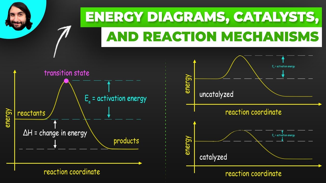 Energy Diagrams, Catalysts, and Reaction Mechanisms