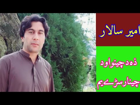 ZA DA CHENO AW DA CHENAR SARE YAM||AMIR SALAR