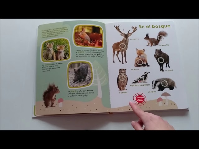 Vídeo relacionado con El libro de los animales y sus sonidos (PICARONA)