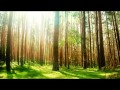 1 Hour Non Stop Music for Sleeping Baby ...