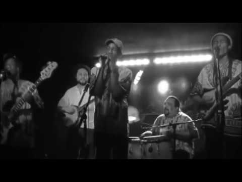 Kawe Calypso - Pandemia