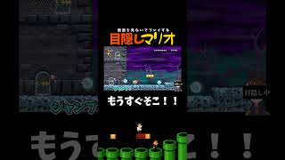 【目隠しマリオ】もうゴール！！の瞬間！！