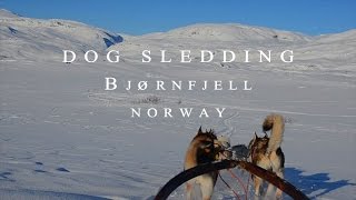 preview picture of video 'Dog Sledding - Norway'