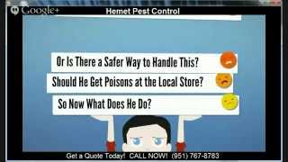 preview picture of video 'Hemet Pest Control | (951) 767-8783 | Pest Control Hemet CA'