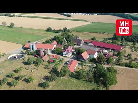 2020 08 08   KLUMPENHOF II