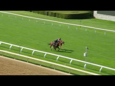 Bundchen (Inside) and Arrest Me Red (Outside) work at Keeneland May 26, 2023