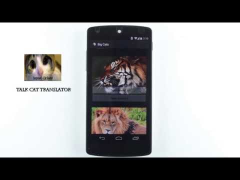 Talk Cat Translator Video