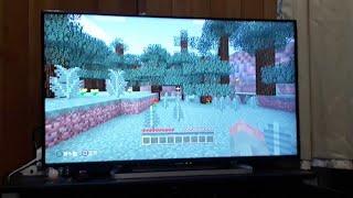 久しぶりにマイクラライブ