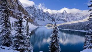 Cover art for The four seasons - Winter