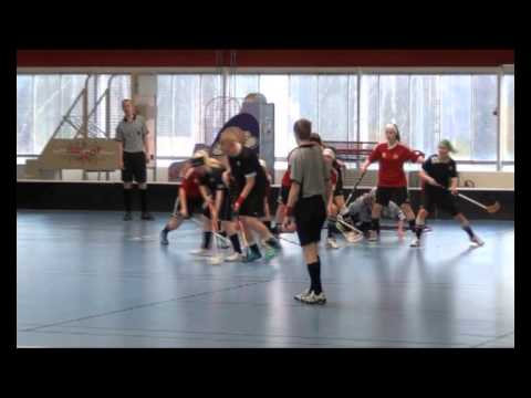 2.3.2013 TPS 2 - Loisto