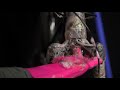 Muc-Off Deep Scrubber Gloves Video