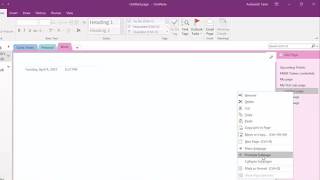Microsoft OneNote: Basic tasks (Video 1)
