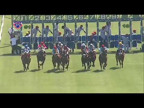 RM5 R1 - Dark Liability(J.Allyhosain)