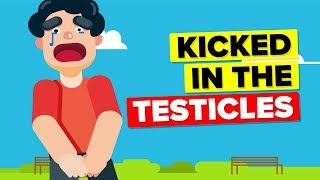 Why Does Getting Kicked in the Testicles Hurt So Badly?