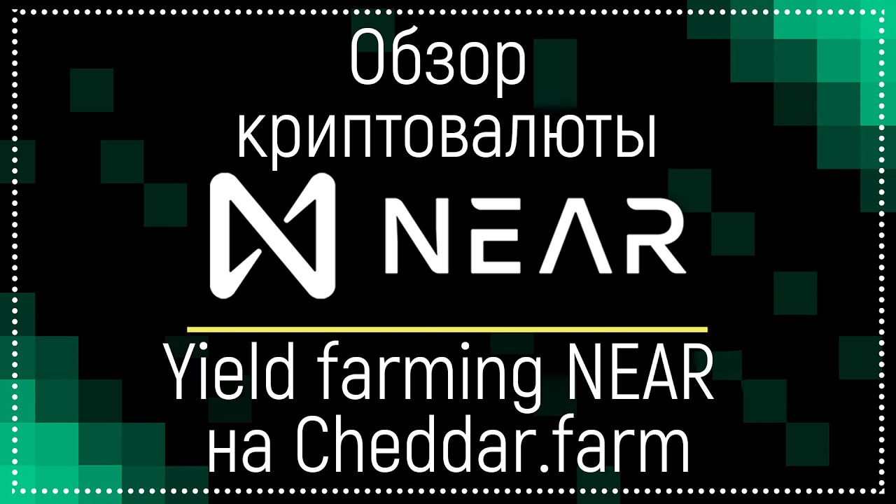 🔥Обзор криптовалюты NEAR Protocol 🚀 Yield farming NEAR на Cheddar.farm💰