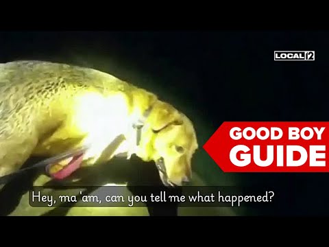 'You're a good boy': Dog leads deputy to injured elderly woman - YouTube