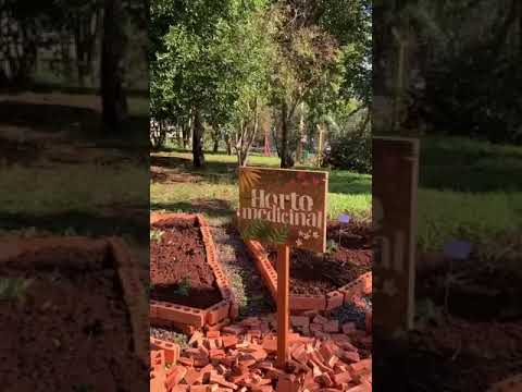 HORTO DE PLANTAS MEDICINAIS DO COLEGIO JOSE LANGE