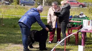 , видео