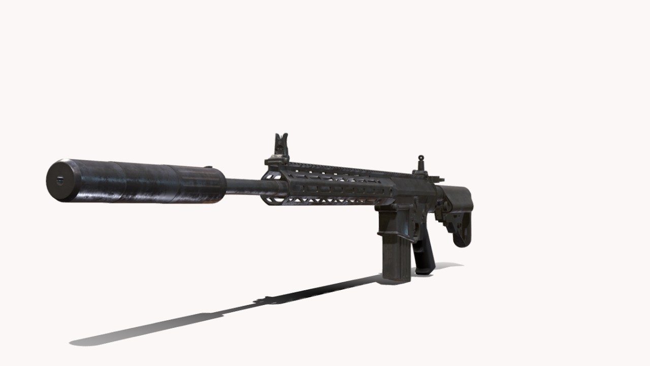 SR25 20 INCHE BARREL 3D Model