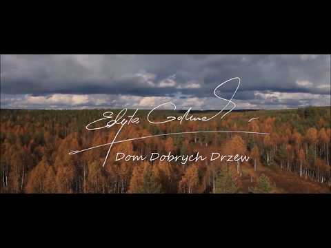 Edyta Górniak - Dom Dobrych Drzew (Lyric Video)