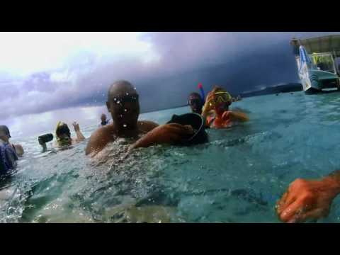 John Durst Tahiti vacation - Stingray Lust