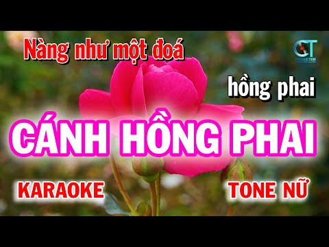 Cánh Hồng Phai Beat Gốc Tone Nữ | Làng Hoa Karaoke