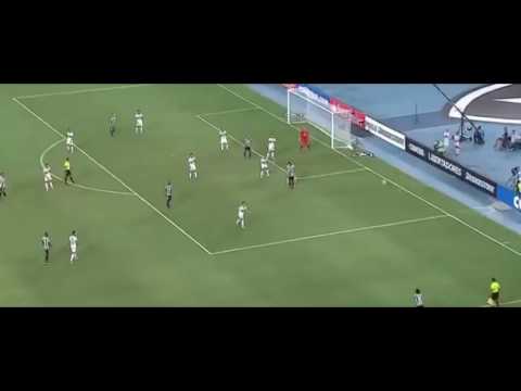 Gol de bicicleta do Rodrigo Pimpão pelo Botafogo