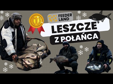 Leszcze z Połańca na feeder !!! Trening i zawody na PZW !!!