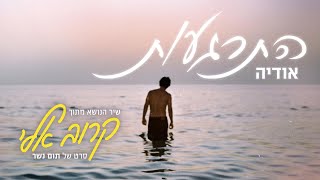 אודיה