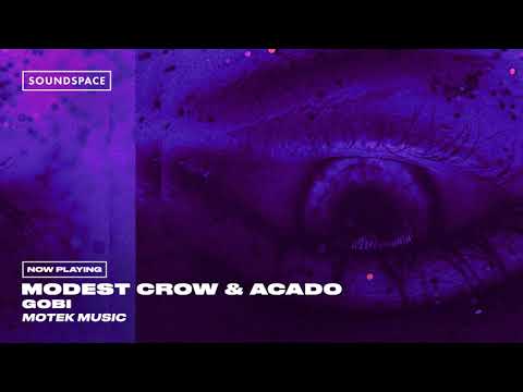 Modest Crow & Acado - Gobi