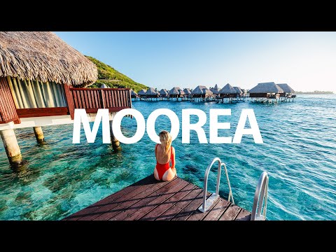 ULTIMATE MOOREA FRENCH POLYNESIA TRAVEL GUIDE (WHALES, OVERWATER BUNGALOWS & TOP THINGS TO DO)