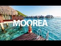 ULTIMATE MOOREA FRENCH POLYNESIA TRAVEL GUIDE (WHALES, OVERWATER BUNGALOWS & TOP THINGS TO DO)