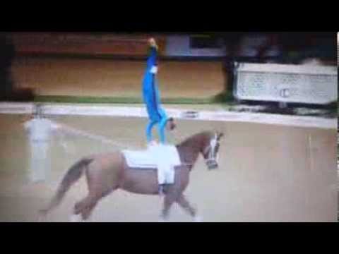 Regina Burgmayr - CVI Doha/Katar 2014 Pflicht