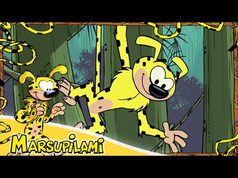 Marsupilami - Saison 2, Épisodes 11 à 15 | Épisode complet