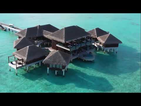 Love Begins Here  @Velaa Private Island Maldives . It's the most luxurious resort in the Maldives  .