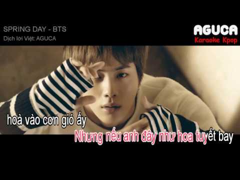 [Karaoke Việt + Audio] SPRING DAY - BTS