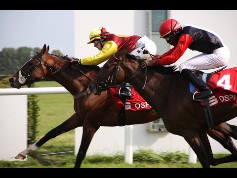 Bad Doberan: OSPA-Cup (D) - Sieger: Eastsite One