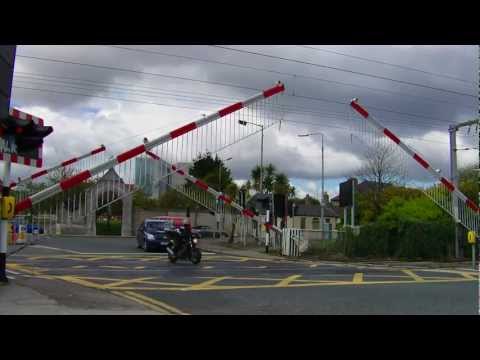Dart train number 8306 - Merrion Gates Level Crossing