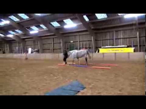 Impressie van de HorseDream Train-the-Trainer, november 2013