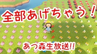島にあるレシピ&服全部あげちゃう！あつ森生放送【1回目】