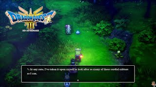 Brand New World | Dragon Quest 3 Remake Part 6