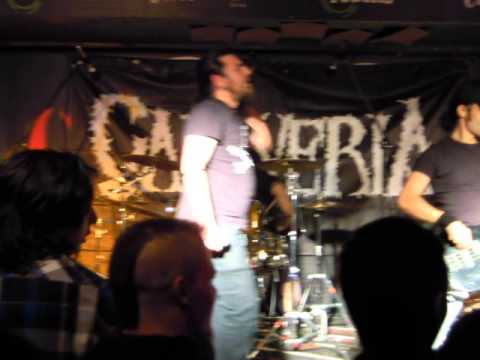 Alcoholic Alliance Disciples - Story Of Holy And Damned Men (Live)